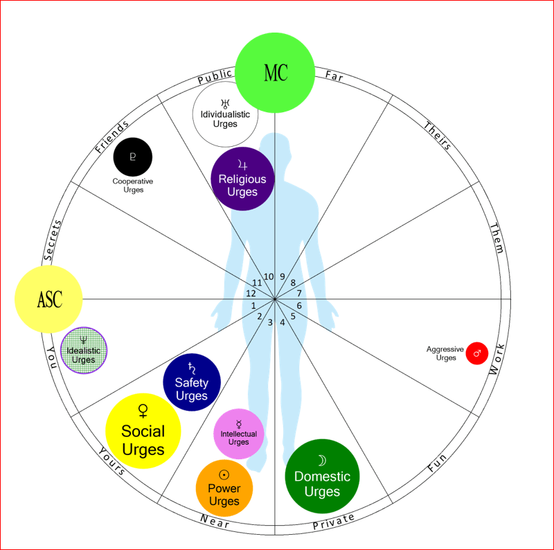 An astrology distrubtion chart showing planets, traits, urges within 12 house of astrology. It gives a sense where a lot of your energies centered for private public, and parterships.