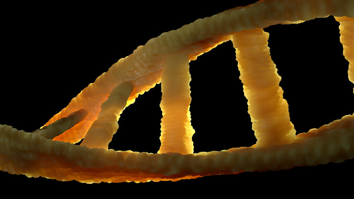 Showing an unbroken DNA strand with a black background. For Sucralose article by No Relent TV